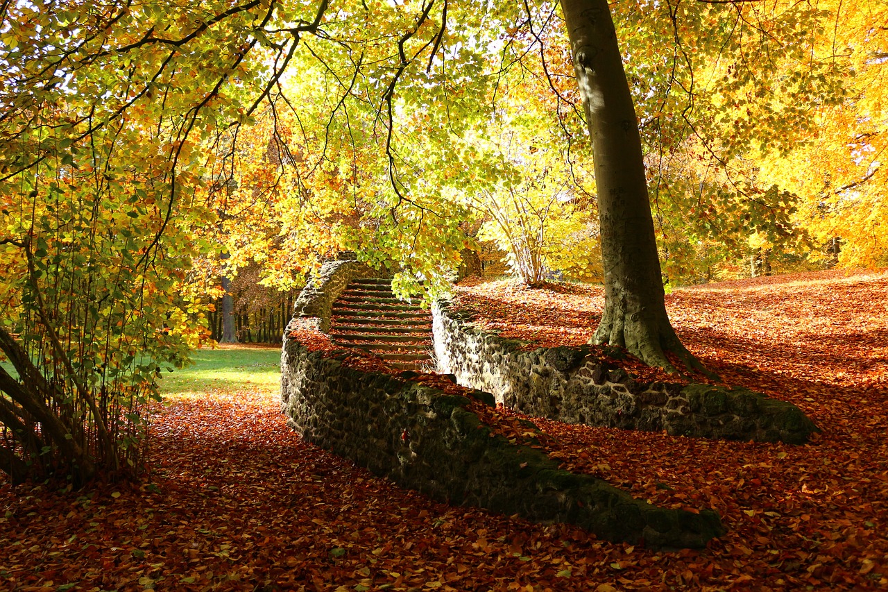 autumn ruin stairs free photo