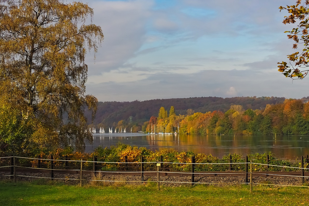 autumn nature trees free photo