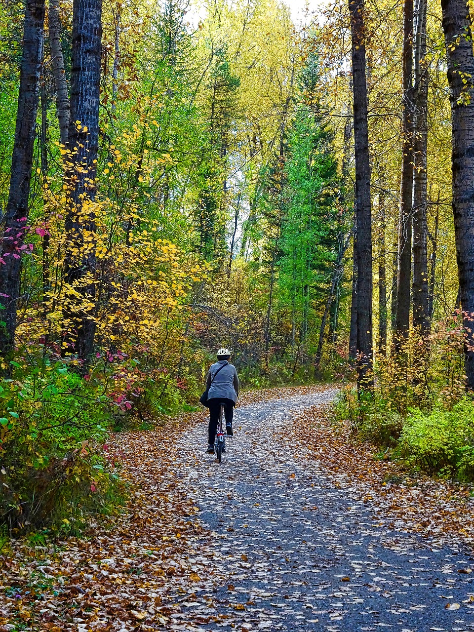 Leave a trail. Прогулка в лесу. Прогулка по лесу картинки. Прогулка по лесу обои. Осень тропинка гора.