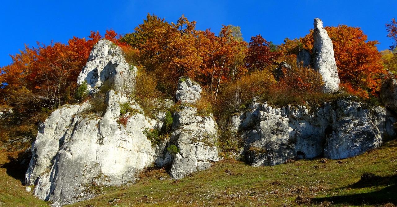 autumn paternity national park surrounded by nature free photo