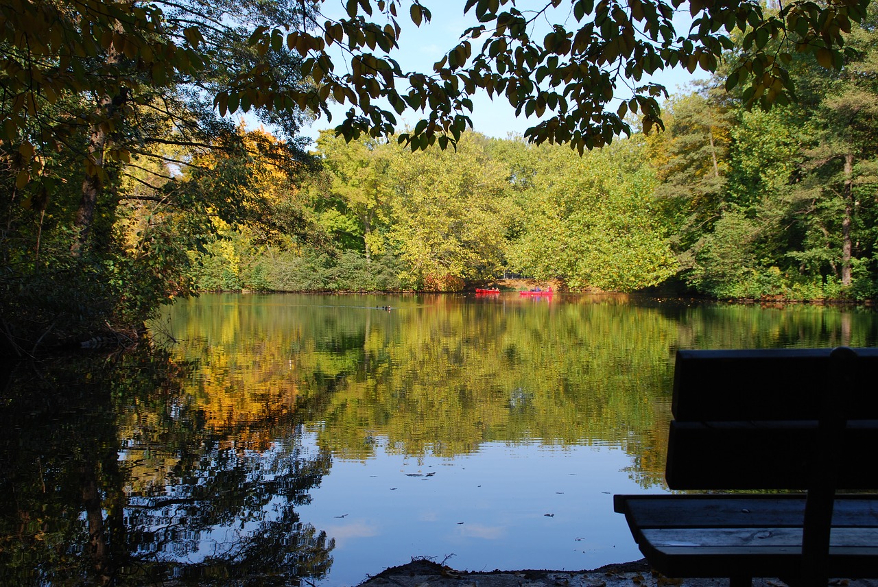 autumn leaves lake free photo