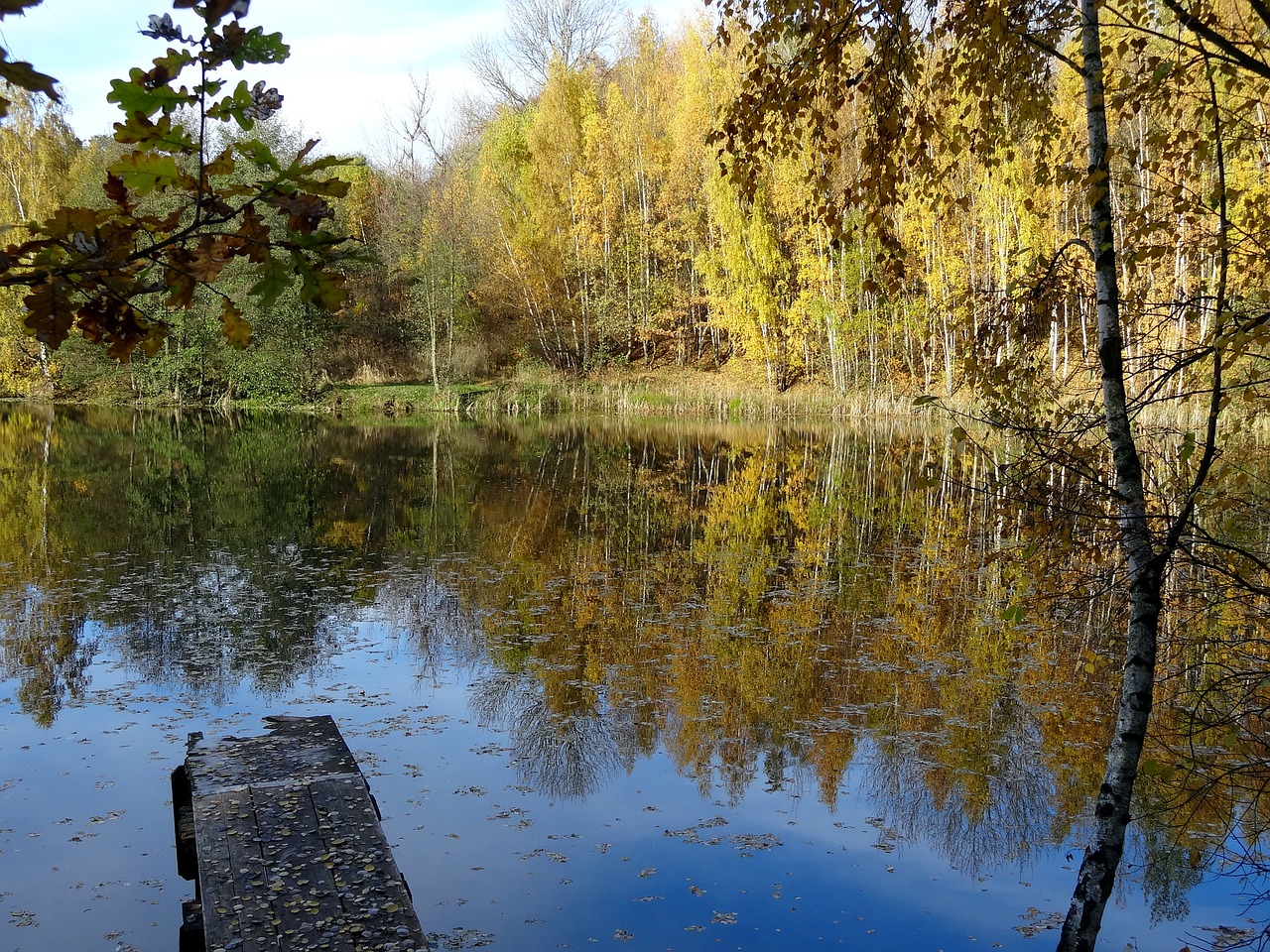 autumn water pond free photo