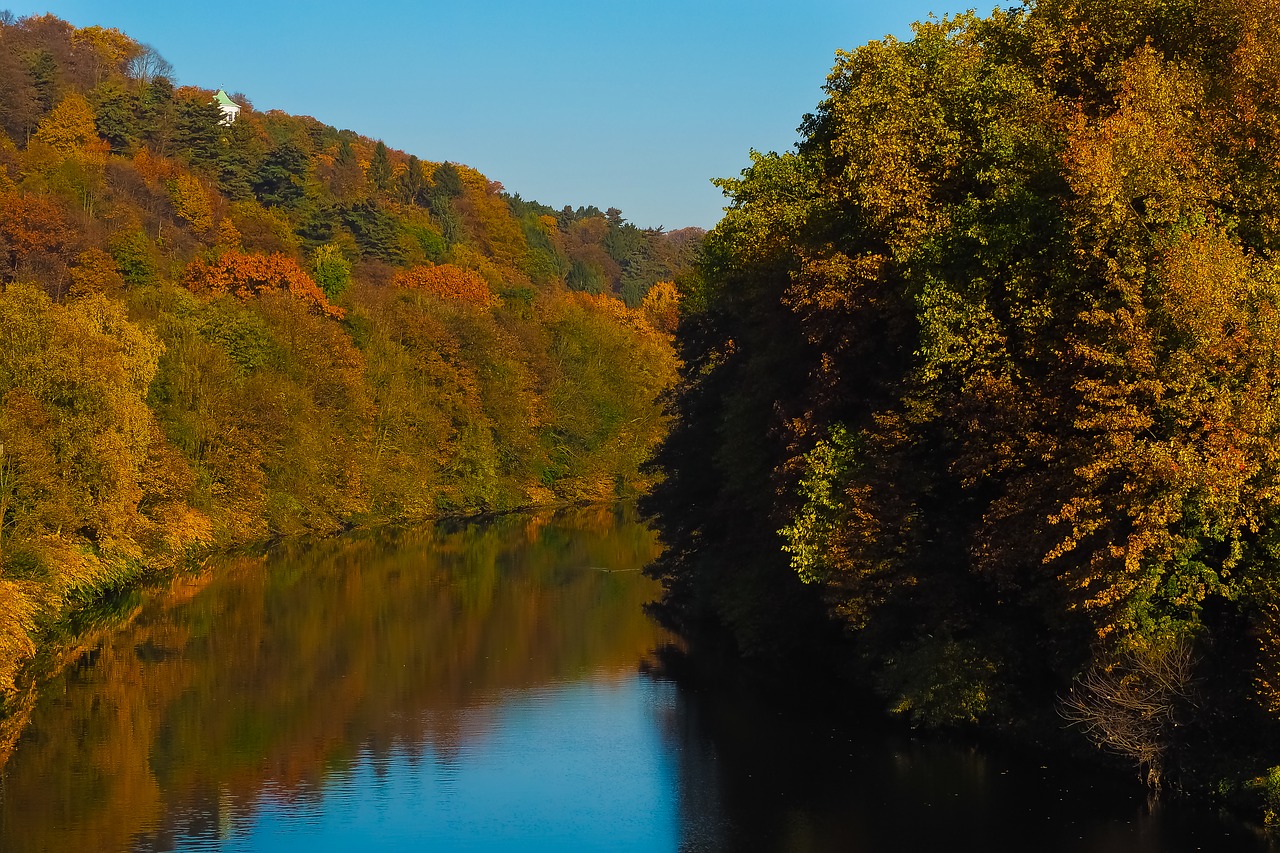 autumn nature trees free photo