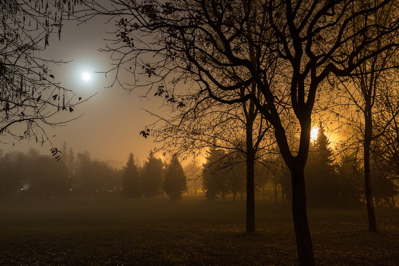 autumn fog moon free photo