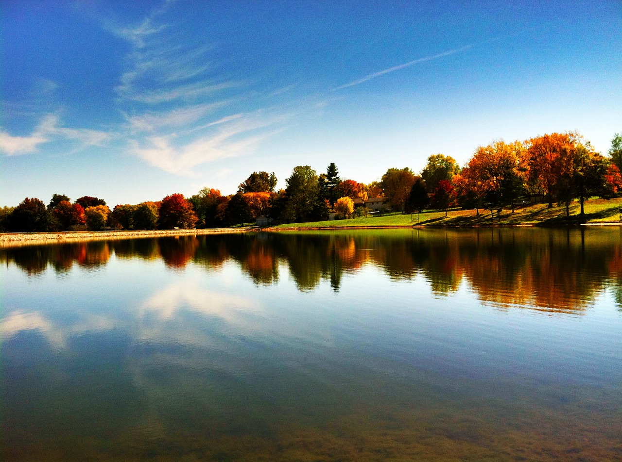 autumn pond reflection free photo