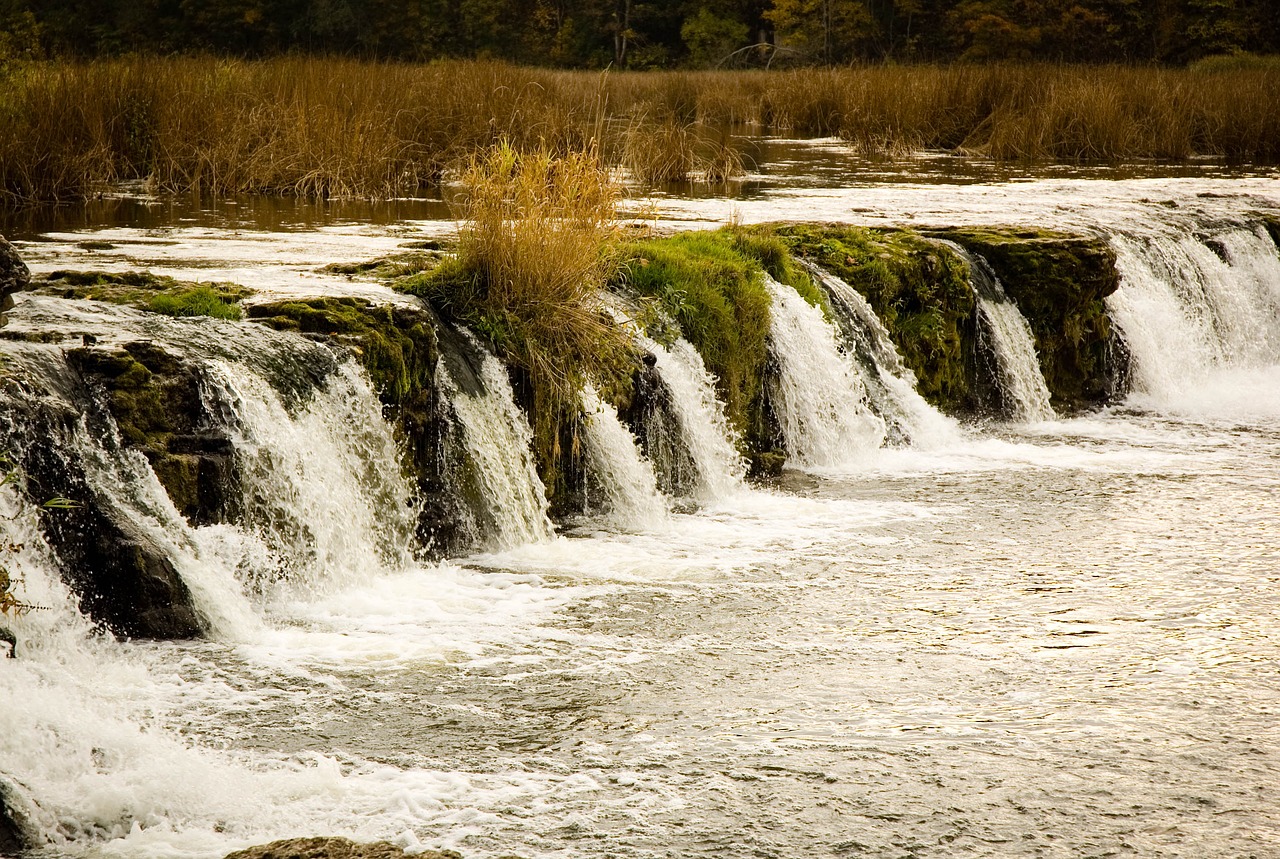 autumn latvia nature free photo