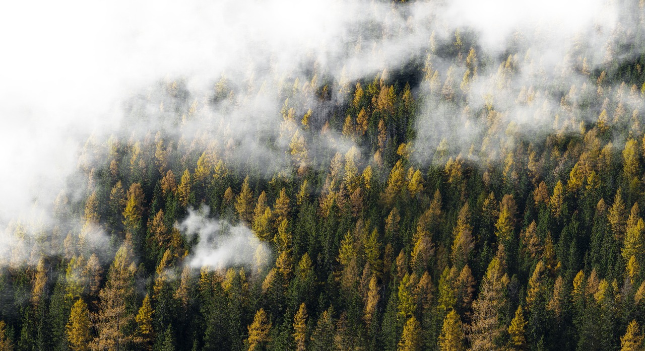 autumn clouds fall free photo