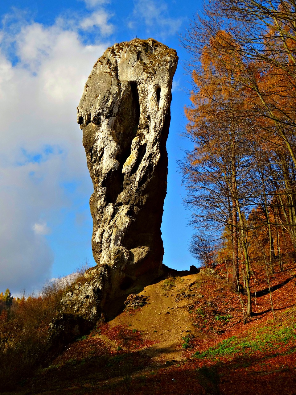 Autumn,rock,limestone,pieskowa Skała Castle,nature - Free Image From 