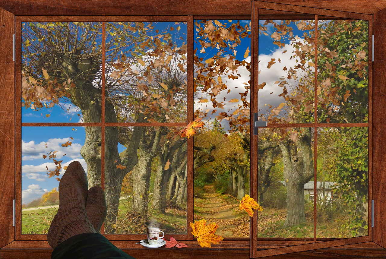 autumn window fall foliage free photo