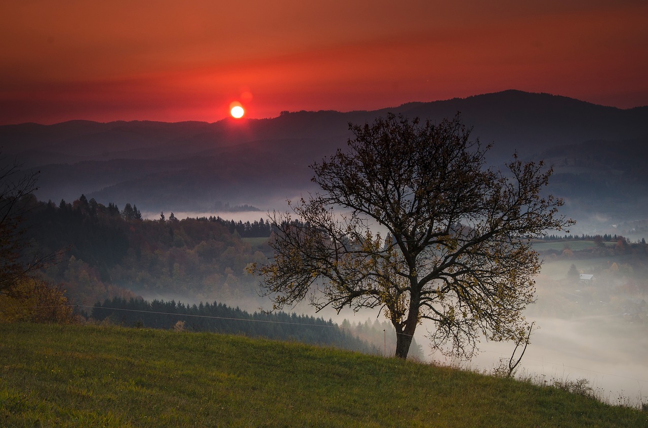 autumn landscape sunrise free photo