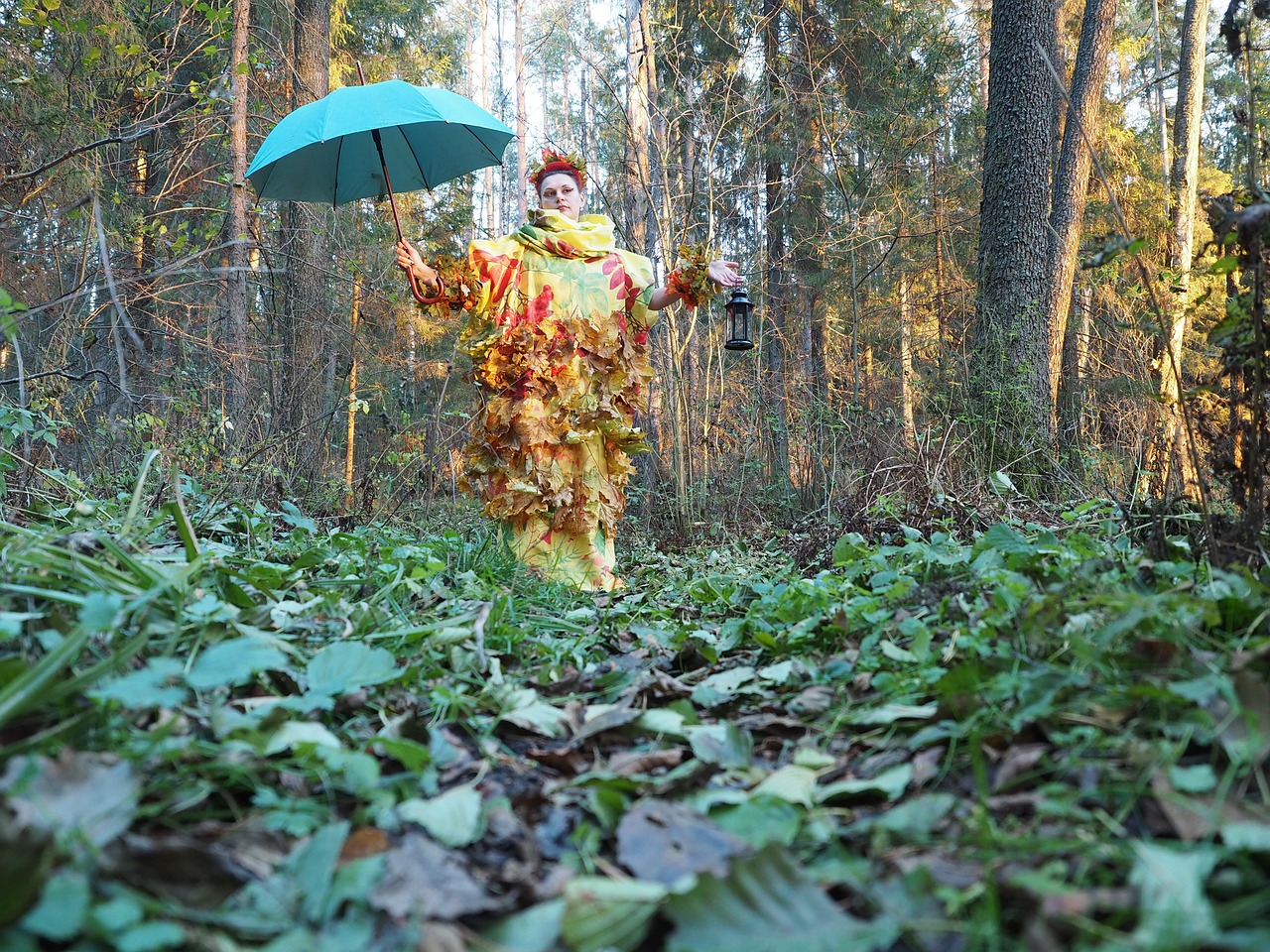 autumn forest nature free photo