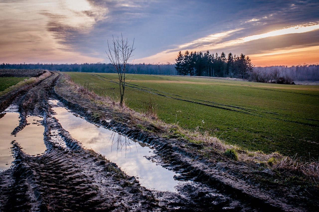 autumn sunset nature free photo