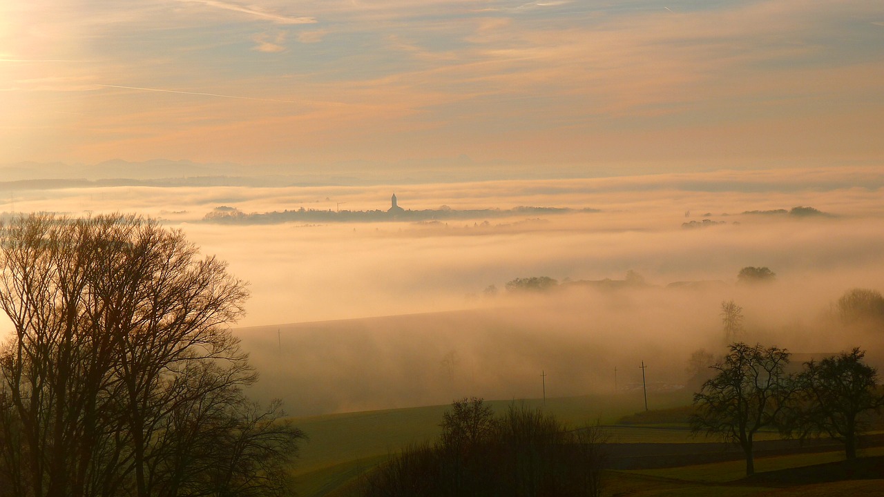 autumn autumn mood fog free photo