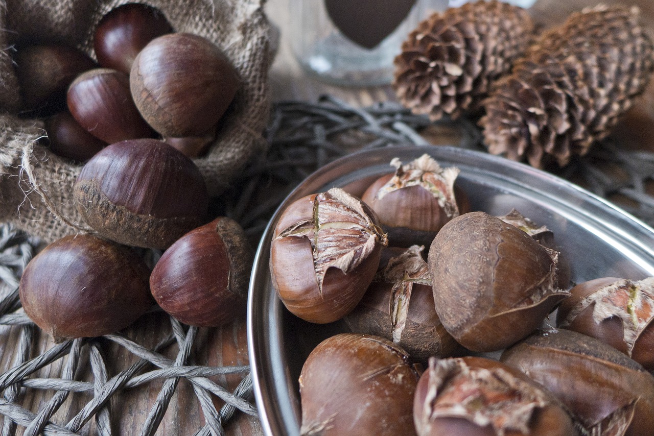 autumn chestnuts castanea free photo