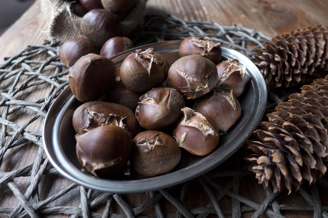 autumn chestnuts castanea free photo