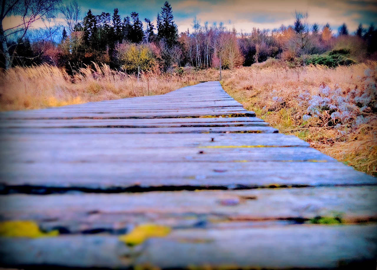 autumn away wooden track free photo
