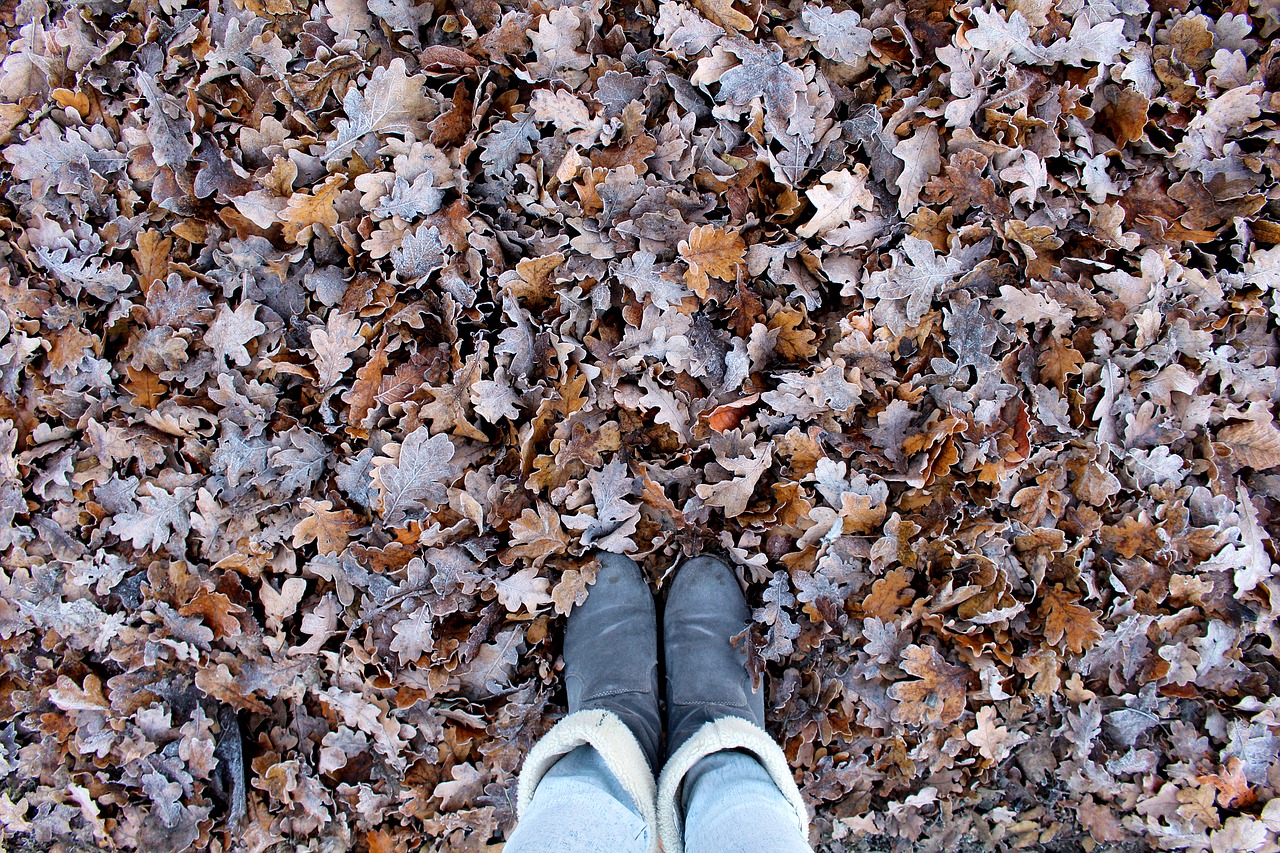 autumn leaves boots free photo