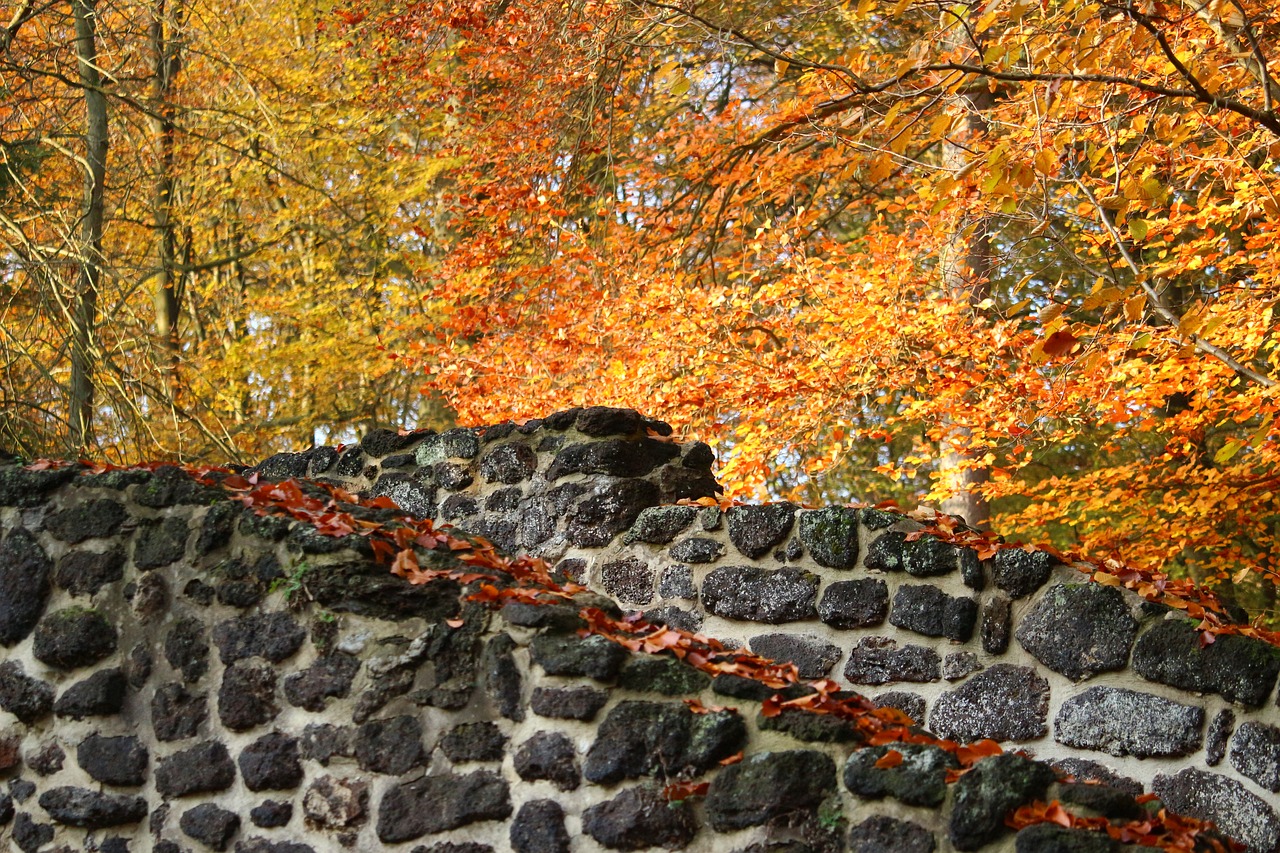 autumn wall clumping stone free photo