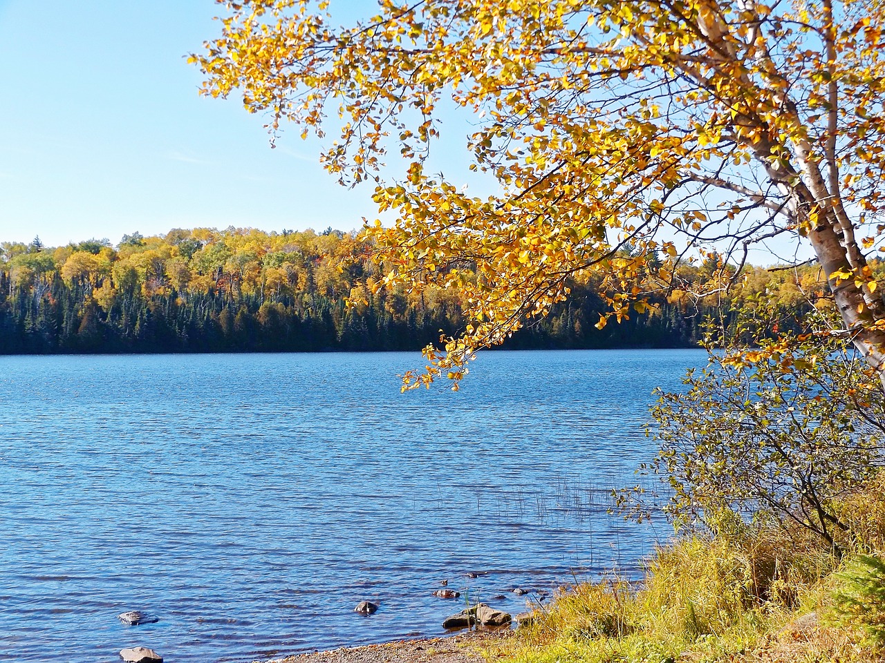 autumn water lake free photo