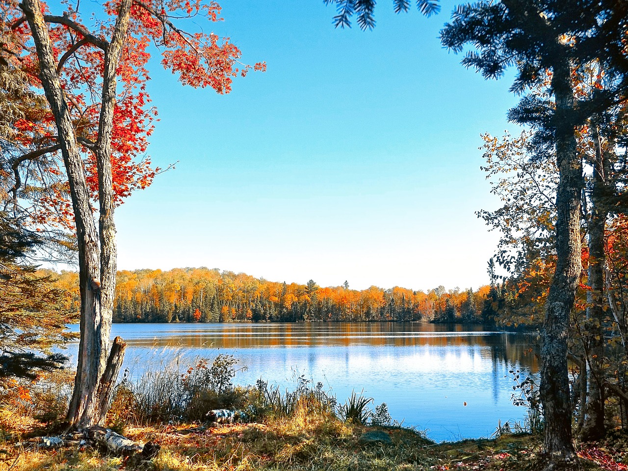 autumn water lake free photo