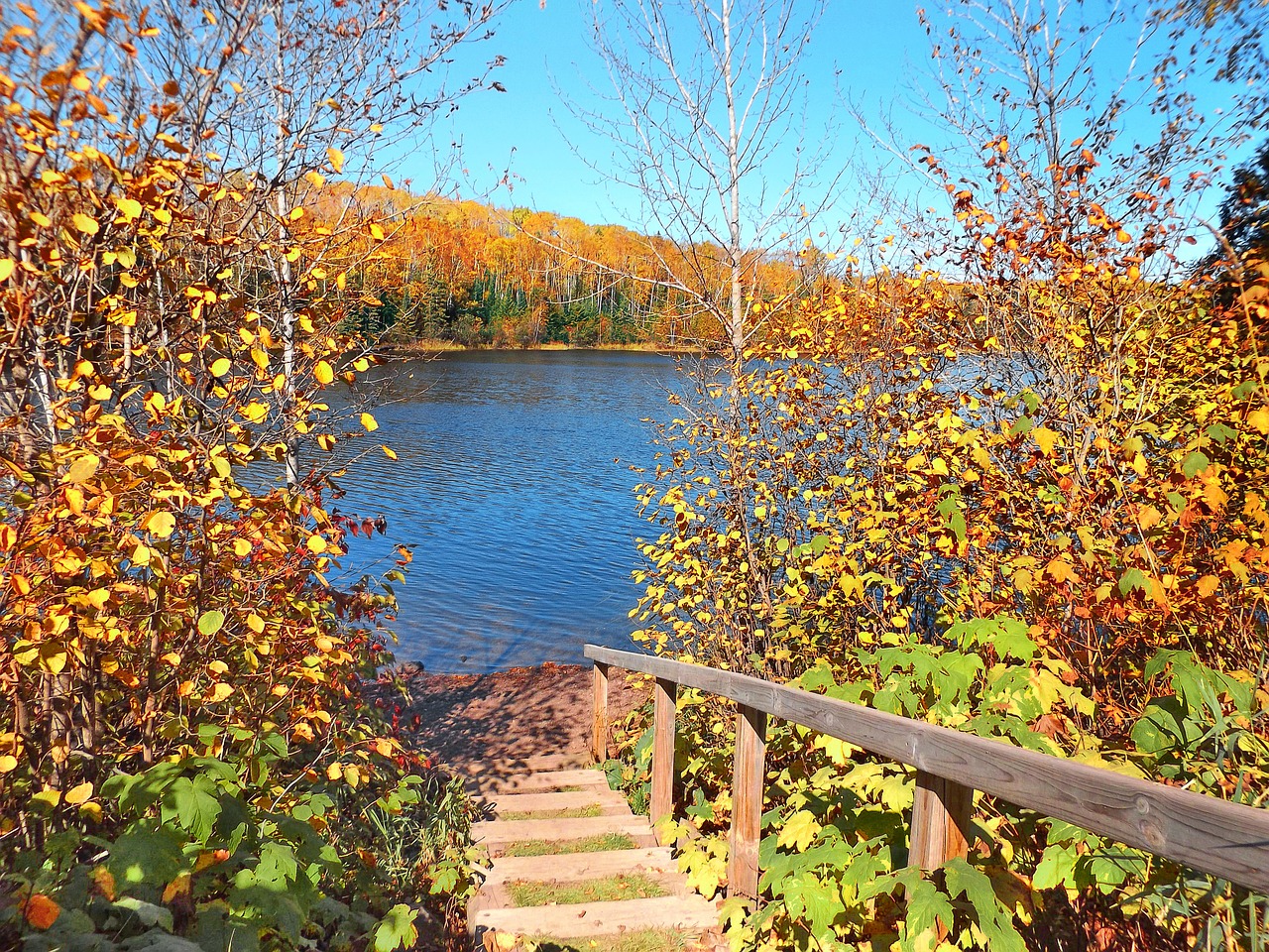 autumn lake wilderness free photo