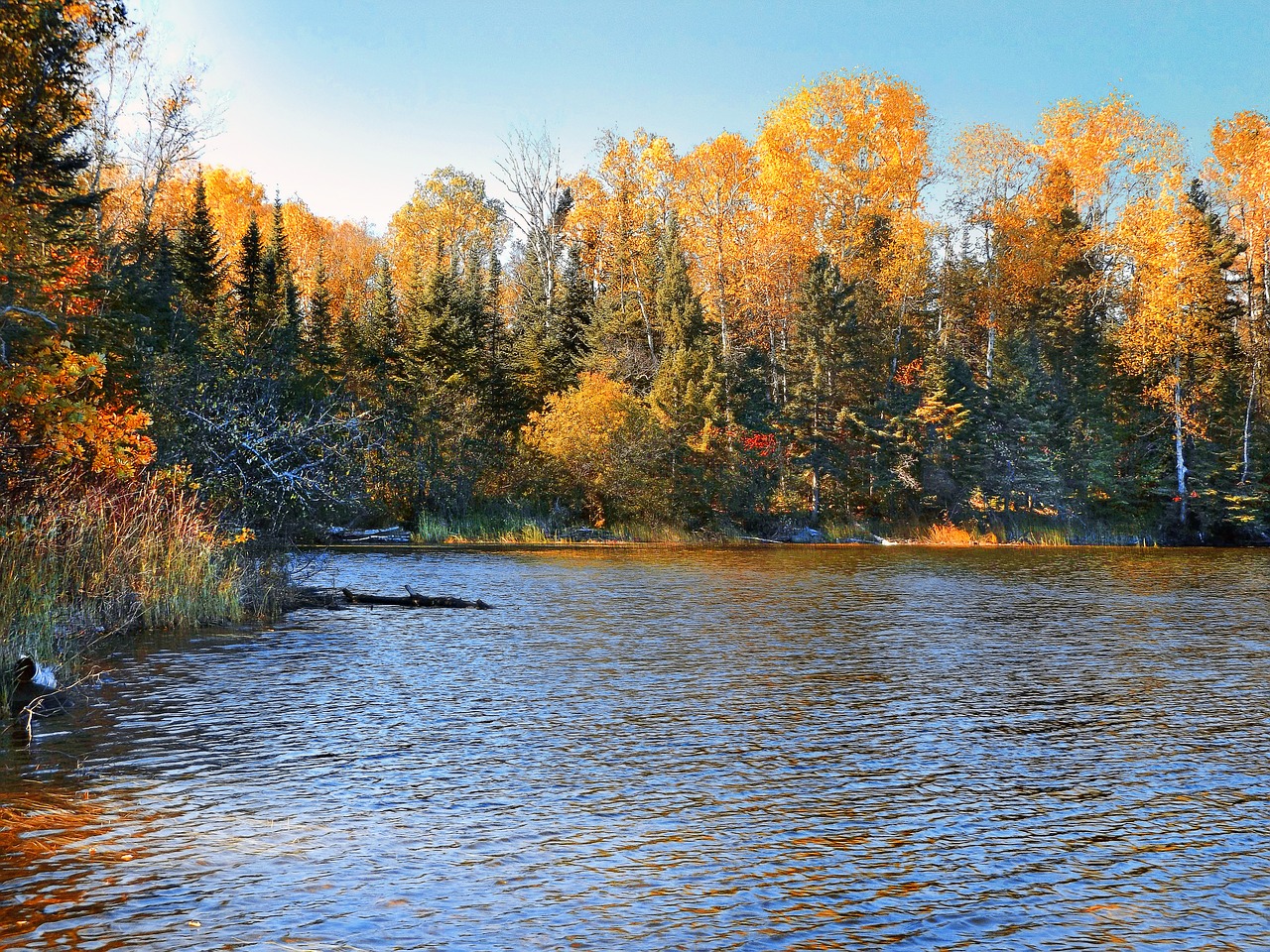 autumn lake water free photo