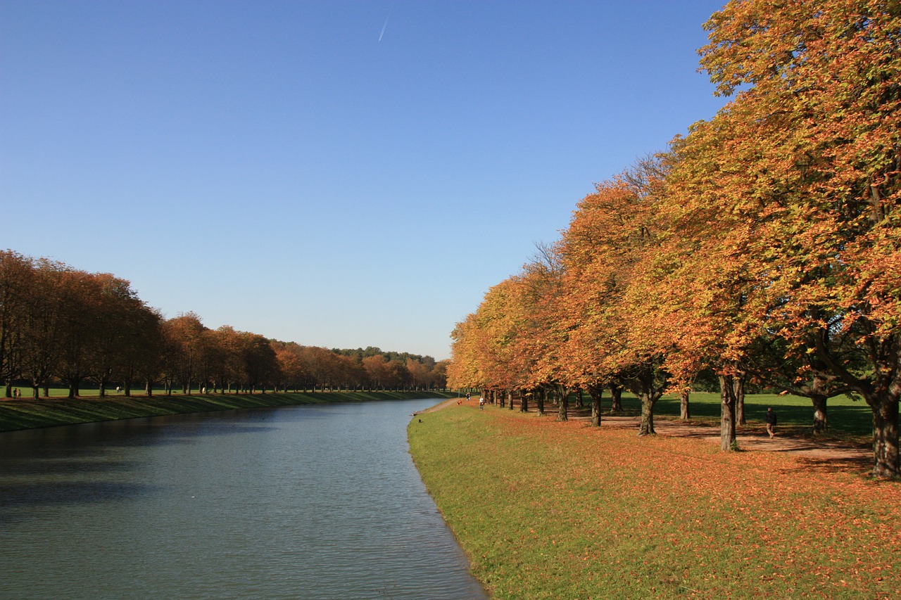 autumn fall foliage golden autumn free photo