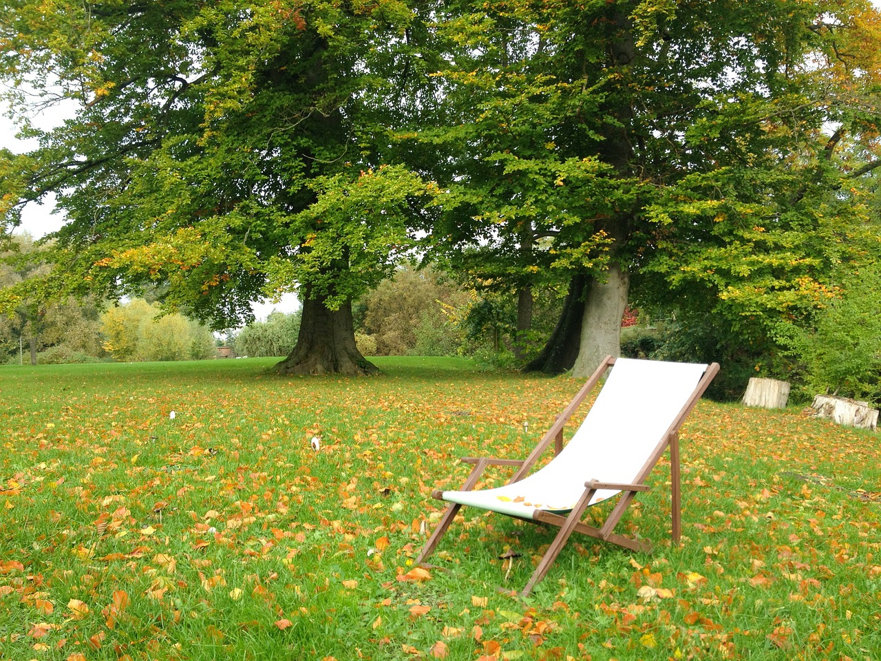 autumn park deck chair free photo