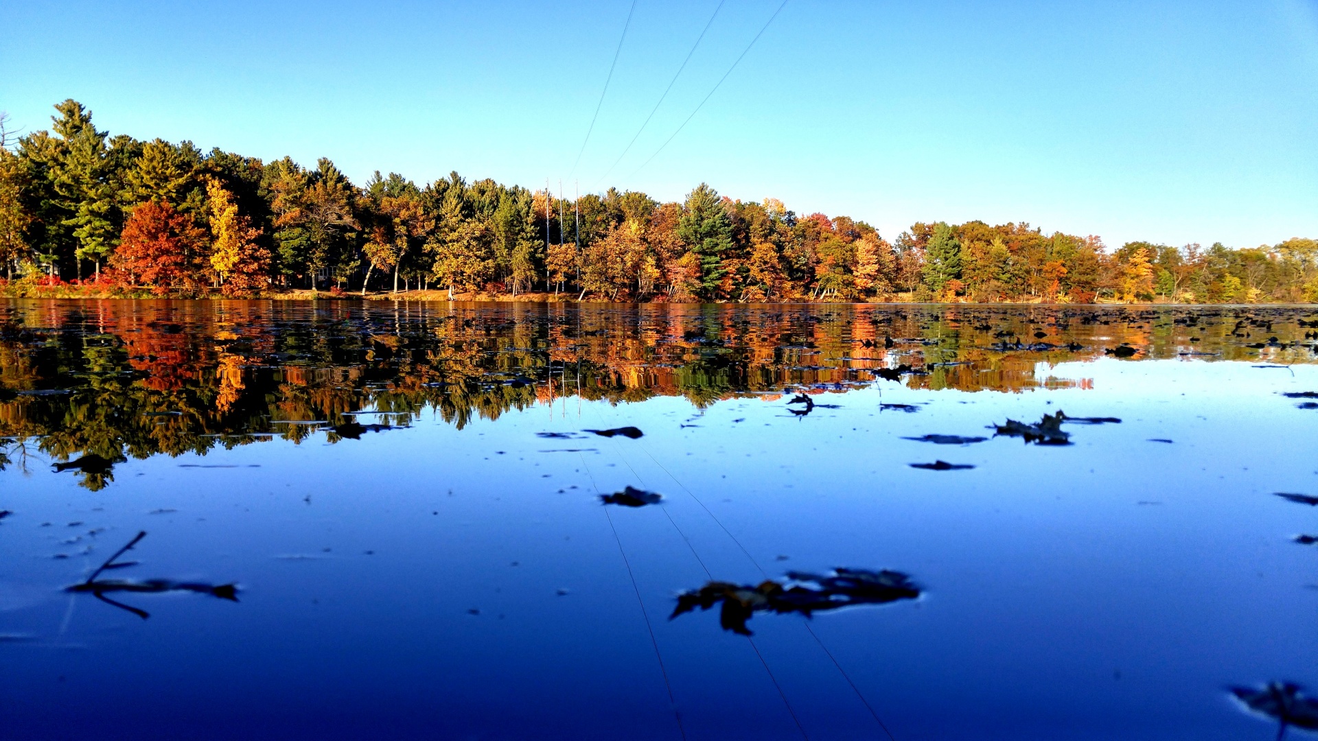 fall autumn river free photo