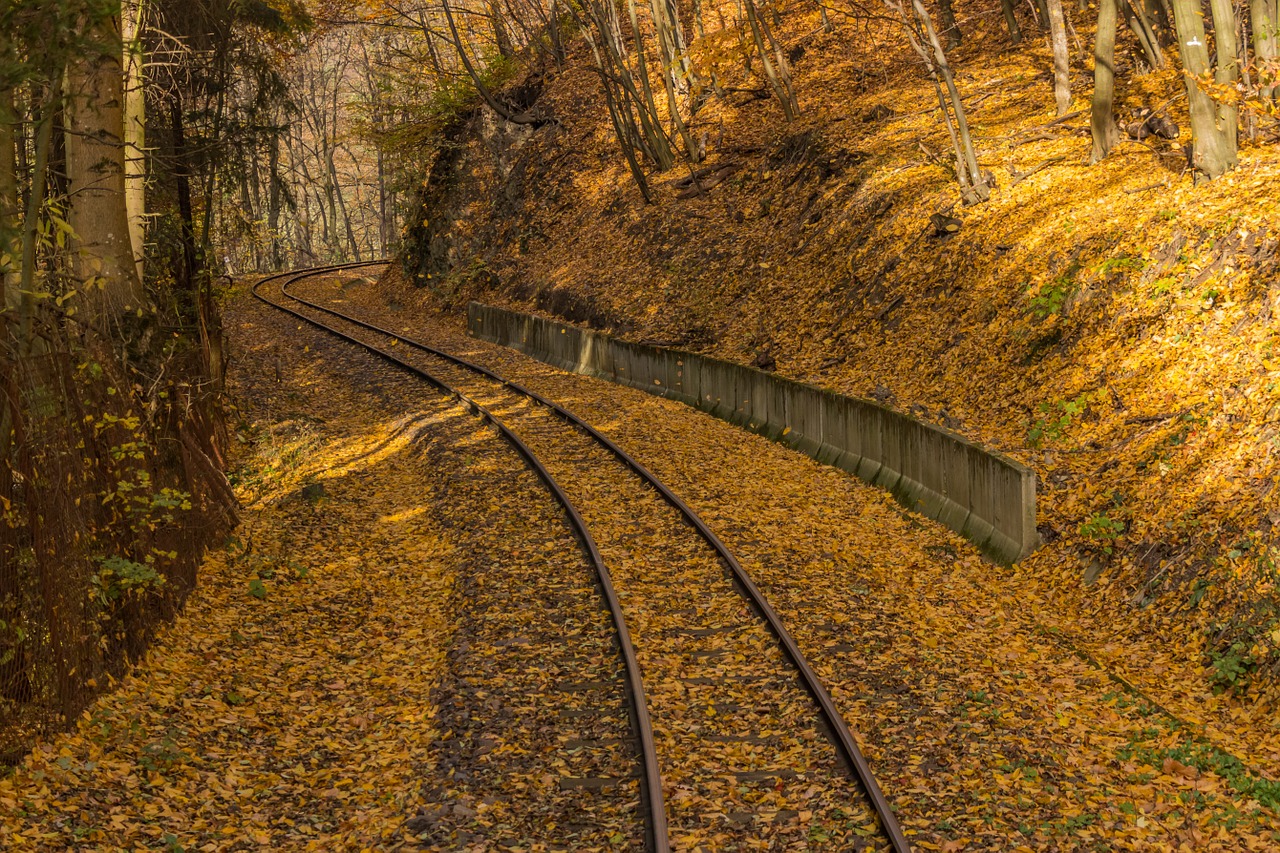 autumn yellow rails free photo