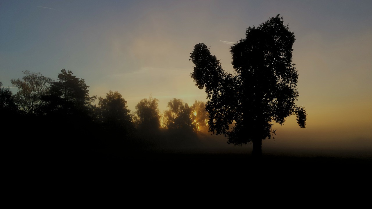 autumn landscape trees free photo