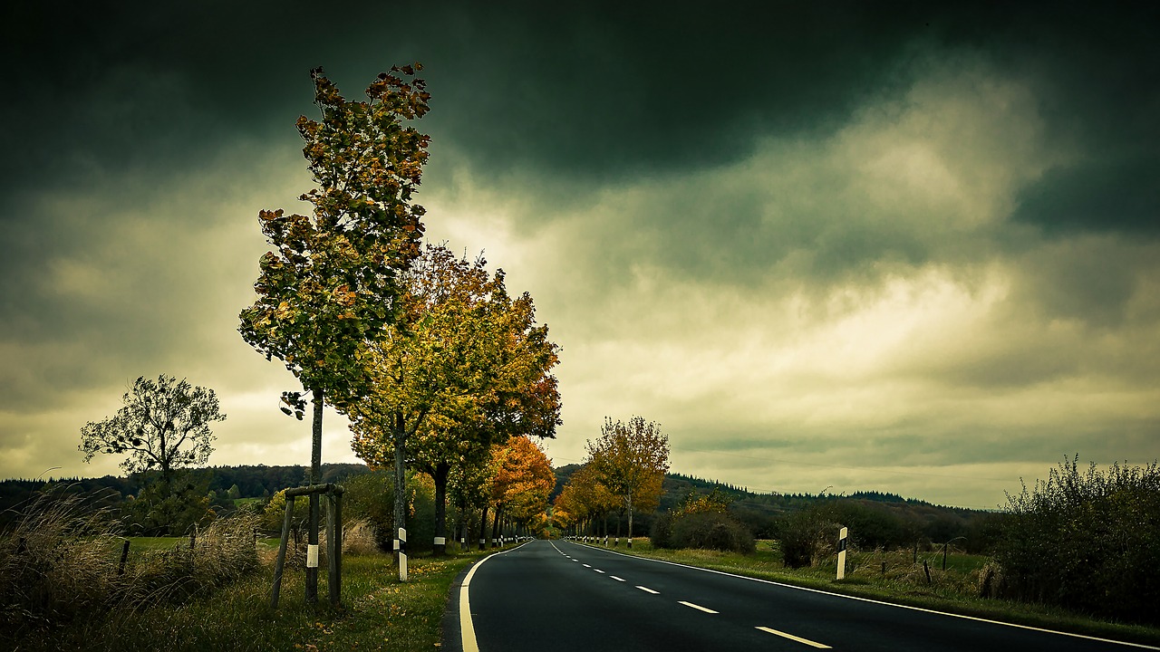 autumn road trees free photo