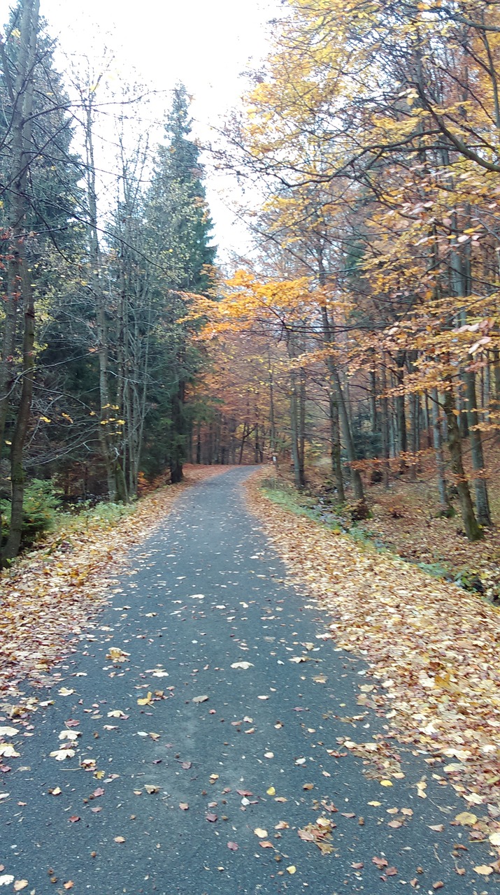 autumn way mountains free photo