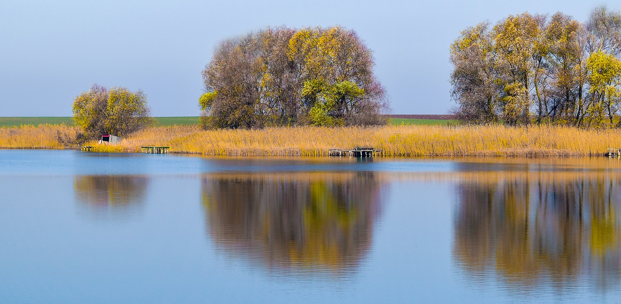 autumn calm lake free photo