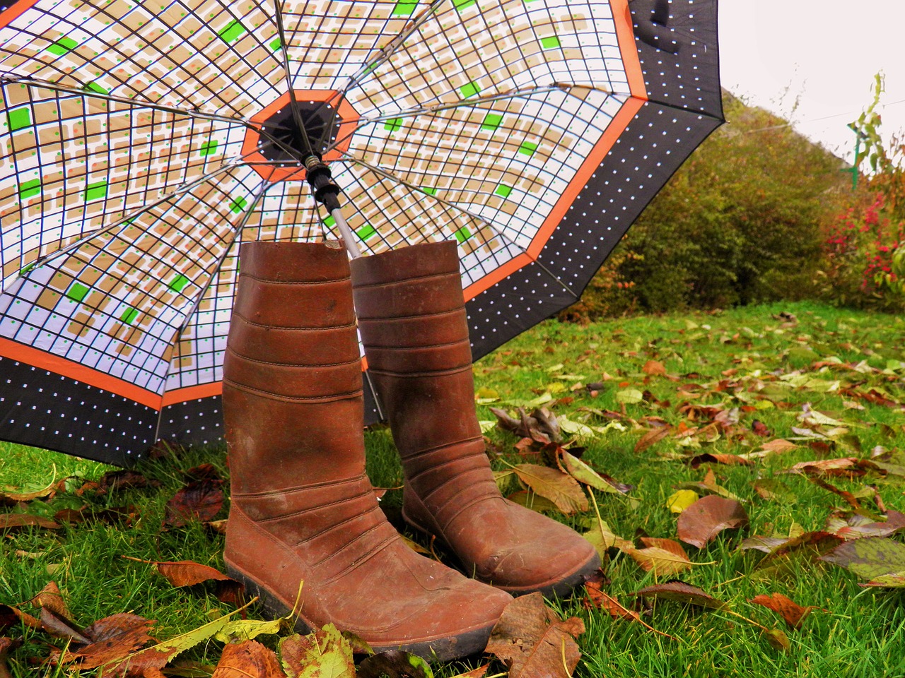 autumn umbrella in the park free photo