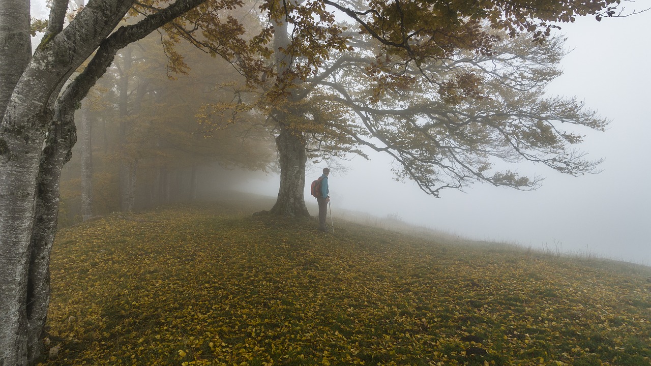 autumn foggy hike free photo