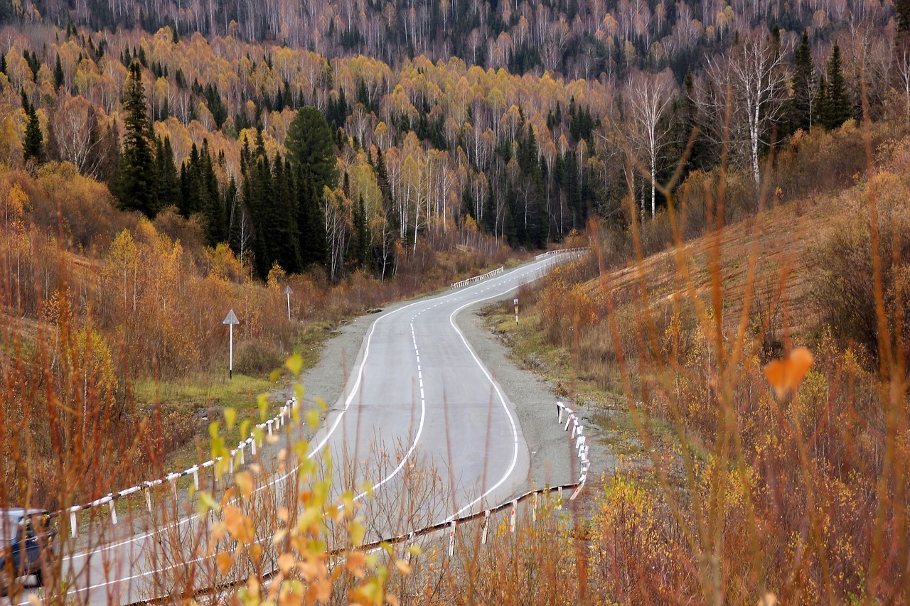 autumn road autumn forest free photo