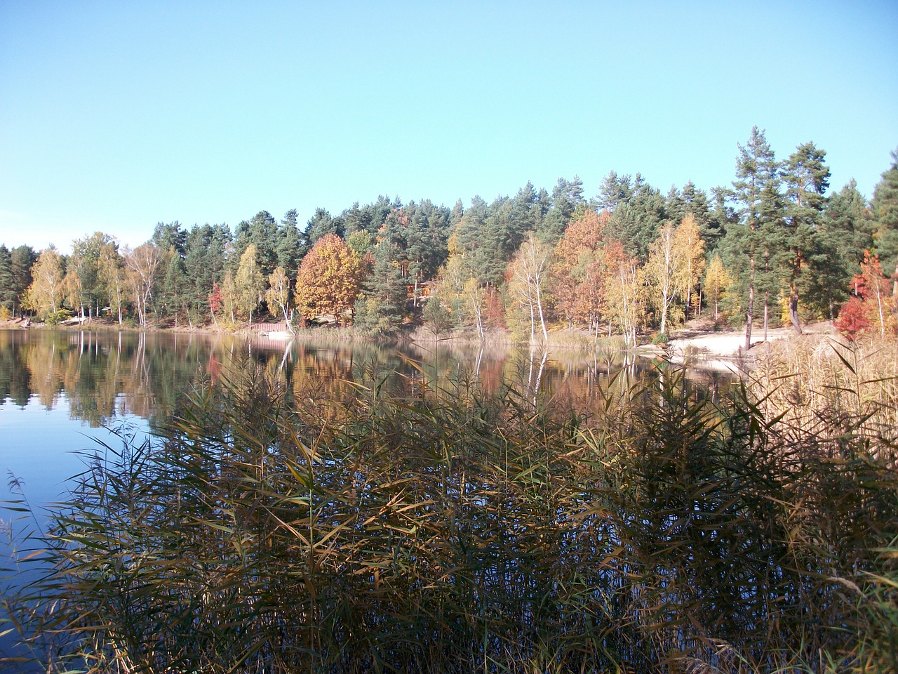 autumn lake bank free photo
