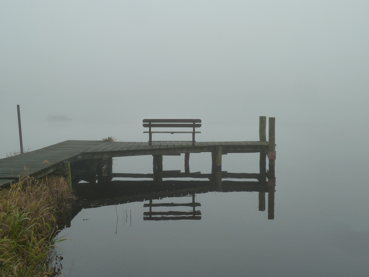 autumn fog bank free photo