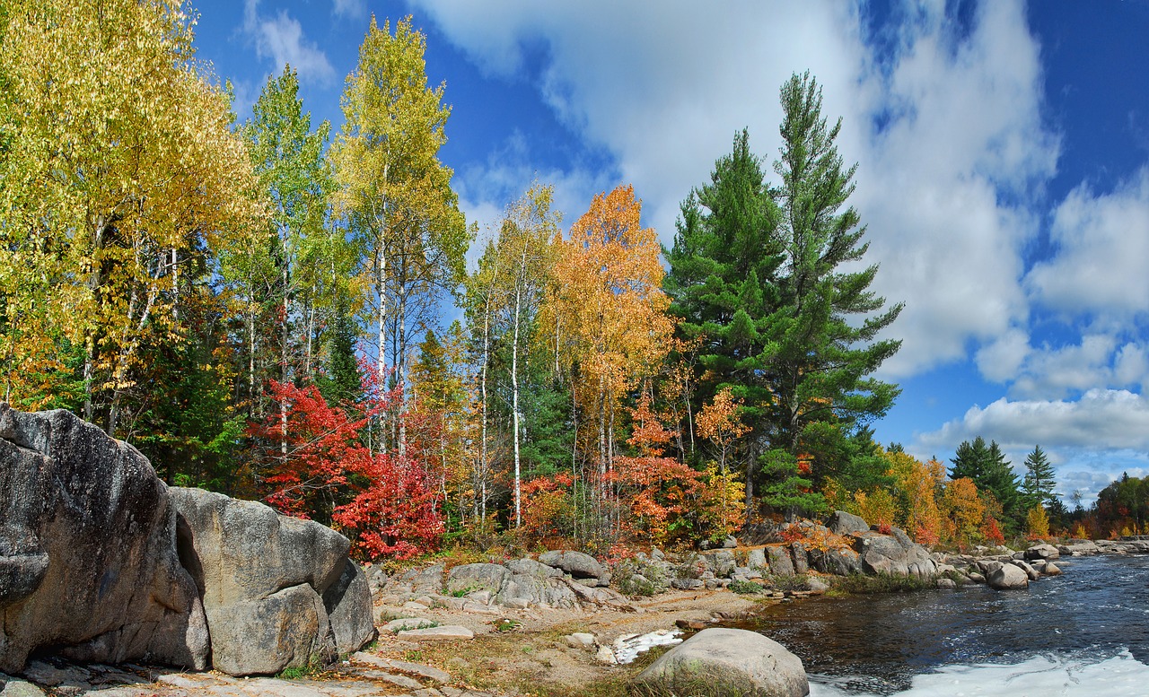 autumn fall colors free photo