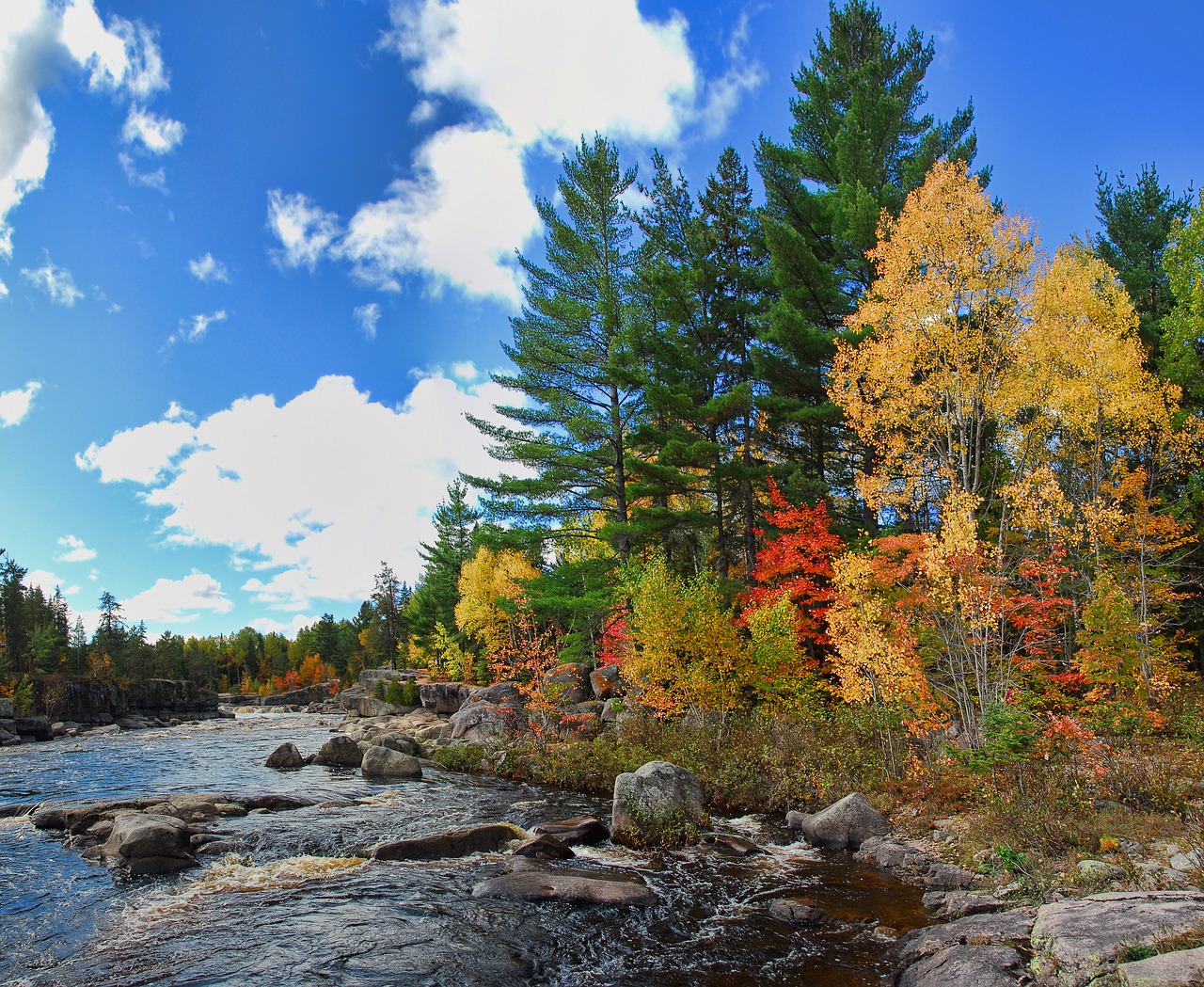 autumn fall colors free photo