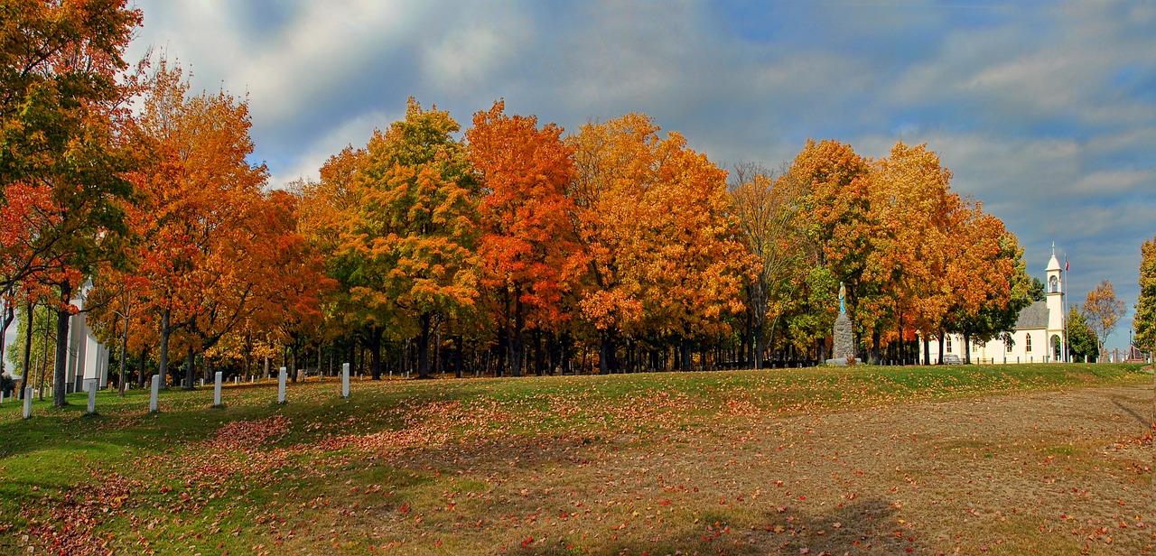 autumn fall colours free photo