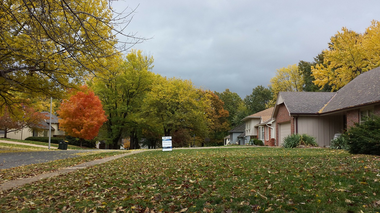 autumn trees season free photo