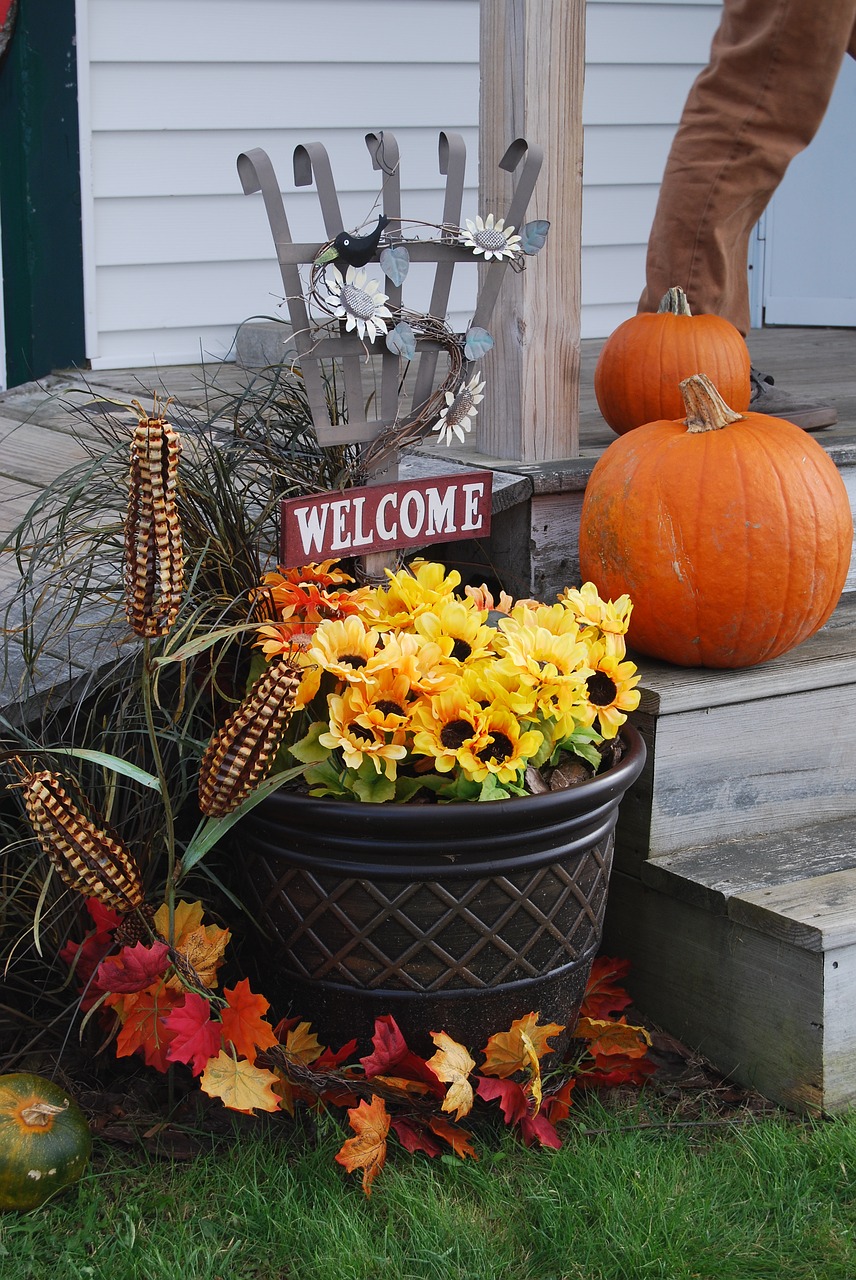 autumn flowers decoration free photo