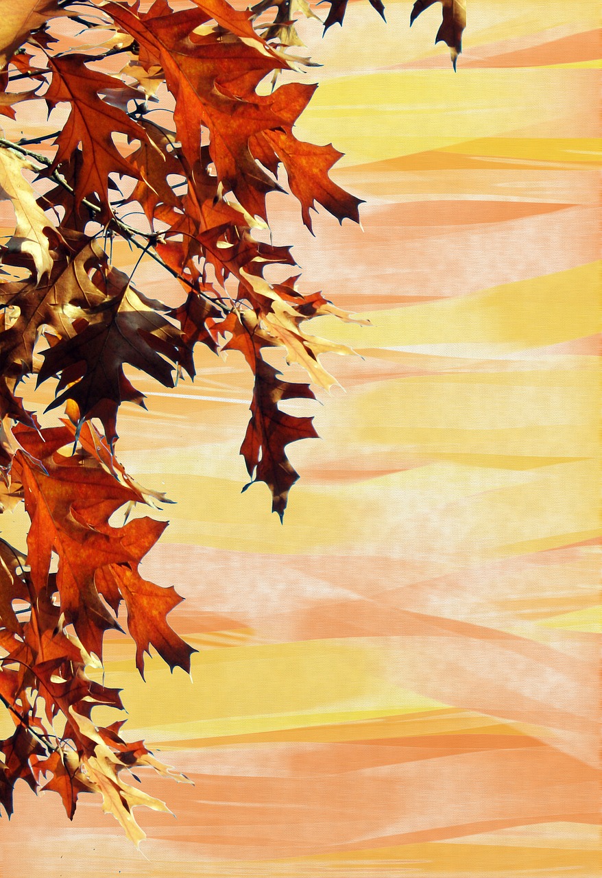 autumn background leaves free photo