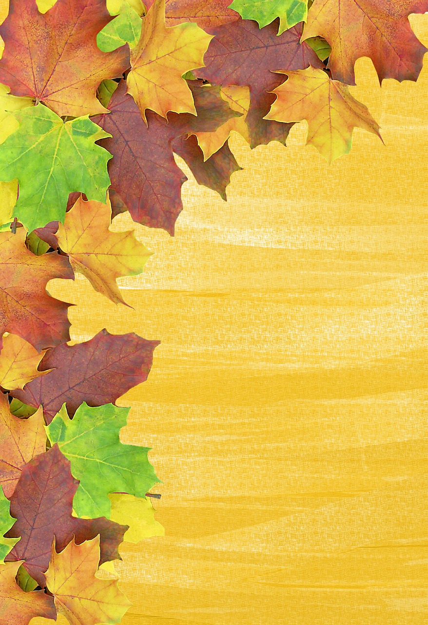 autumn background leaves free photo