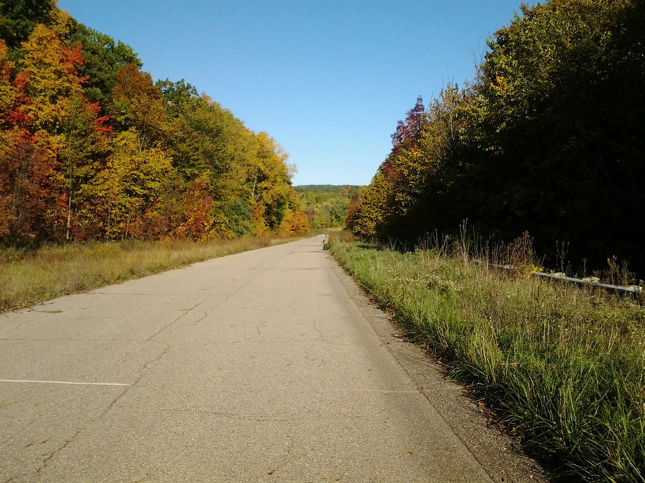 autumn road trees free photo