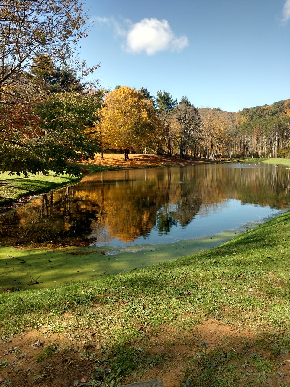 autumn pond lake free photo