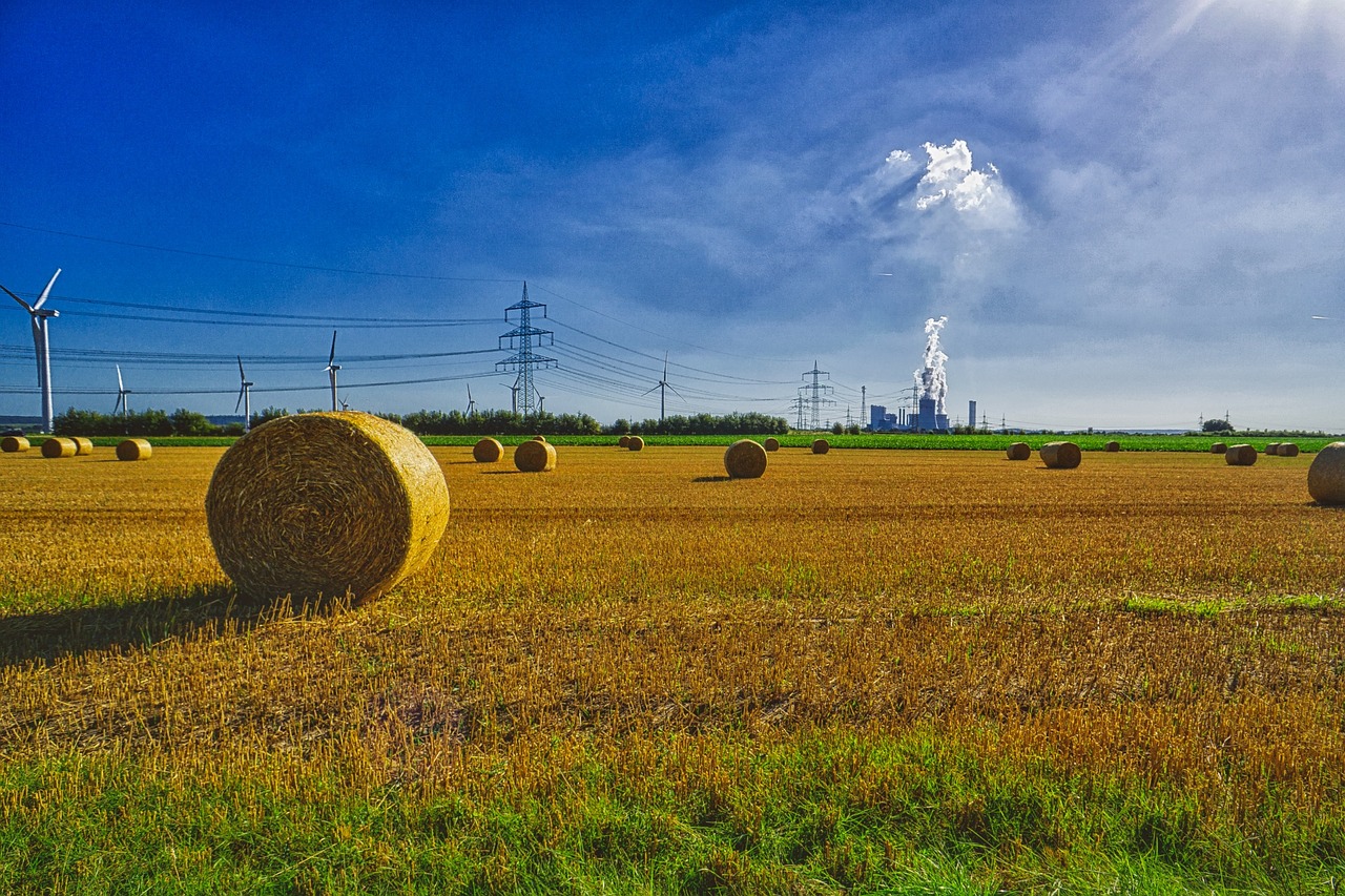 autumn straw agriculture free photo