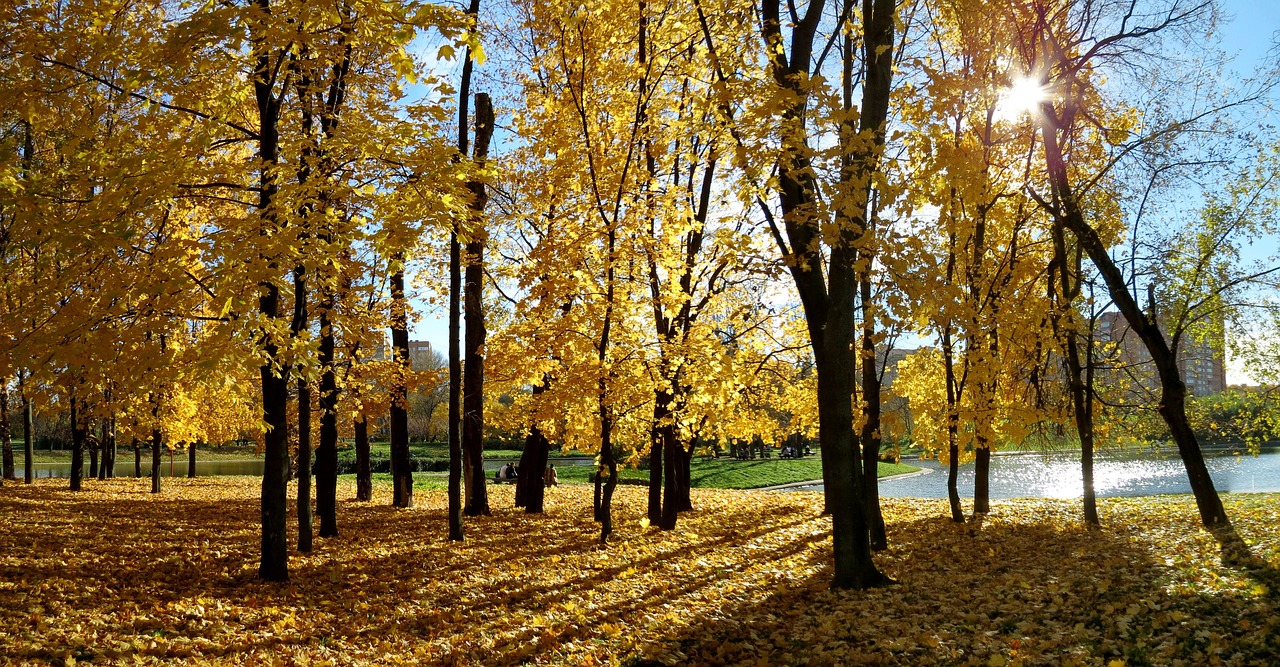 autumn sky blue sky free photo